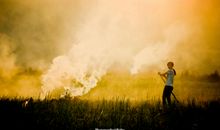 农忙时的谚语都有哪些