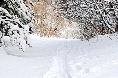 大雪寓言