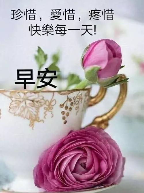 周五祝福客户
