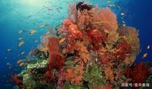 工作心伤的句子