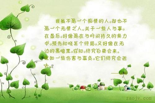 痴情句子