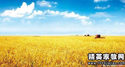 秋季气候谚语