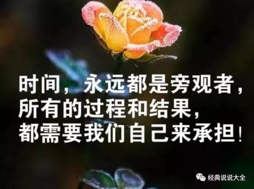 这很酷