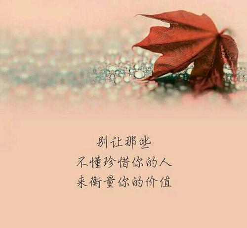 2020经典爱情句子