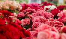 11月份的祝福语