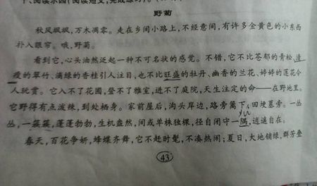 关于人的寓言