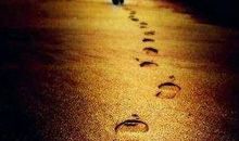 人生路漫漫,有成功就有挫折,有欢喜就有哀伤