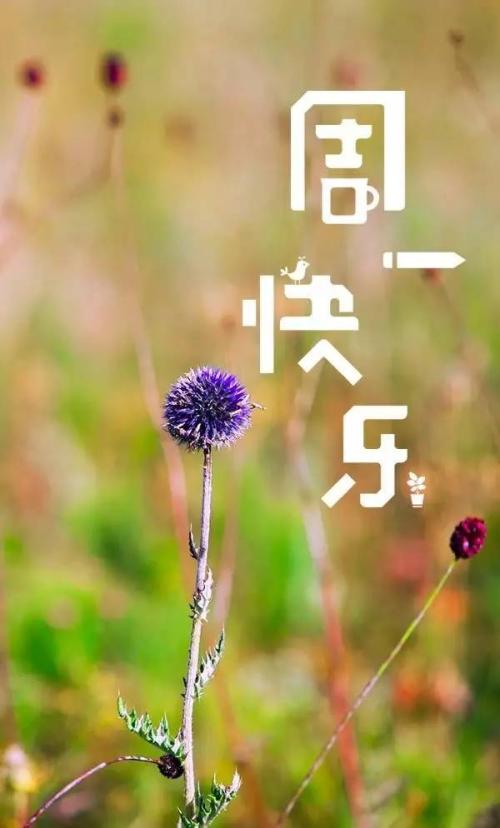 星期一晚上的祝福