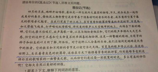具象句写作校园