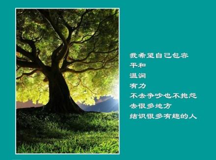 感人的句子