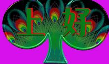 晚上的祝福语大全