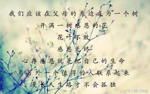 谈论越来越多