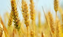 保健养生的谚语