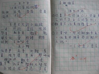 初中佳句节选