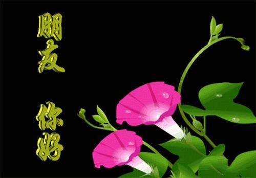 三月经典问候