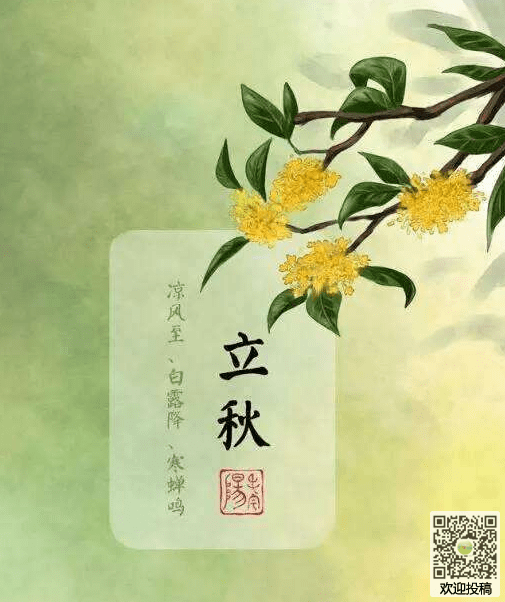 二十四节气的谚语