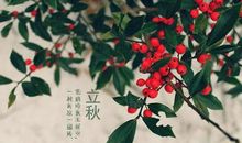 立秋朋友圈搞笑说说