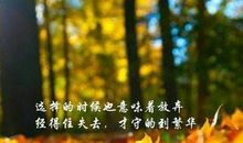 自己独立坚强的句子