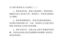 写青春的比喻句