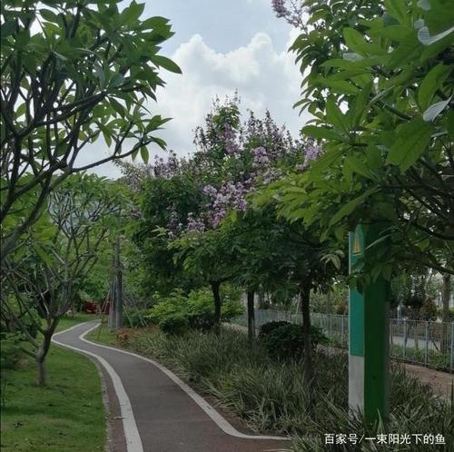 一句话含泪