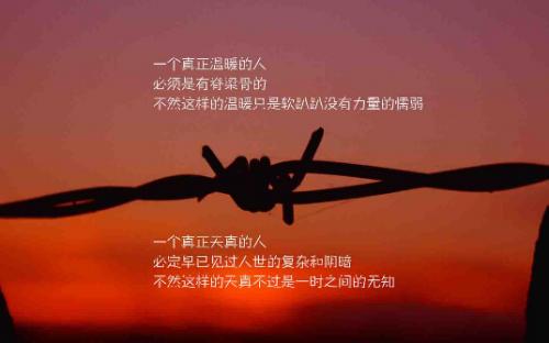 情感经典语录2020