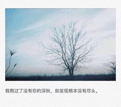 友情句子