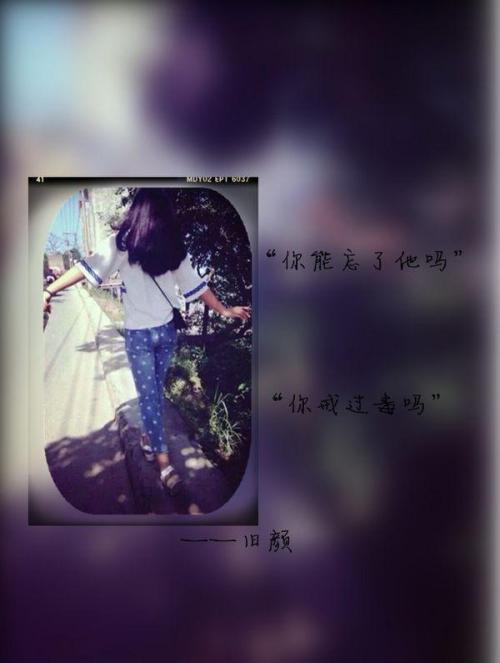 感性和含意的句子