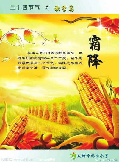 关于小麦的谚语