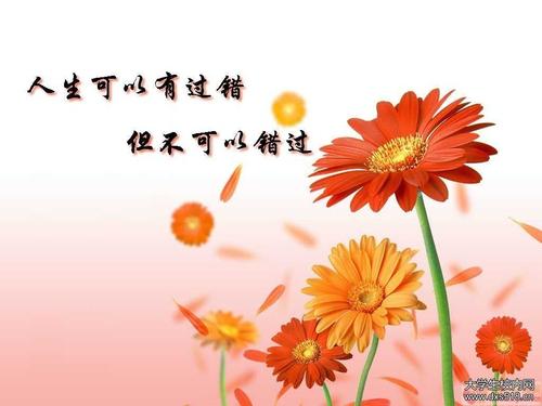 与爱情有关的名言