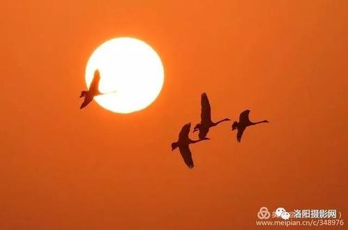 跟朋友说再见