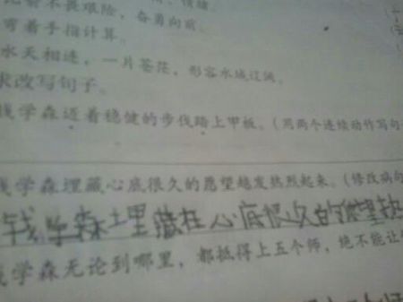 输入一个句子