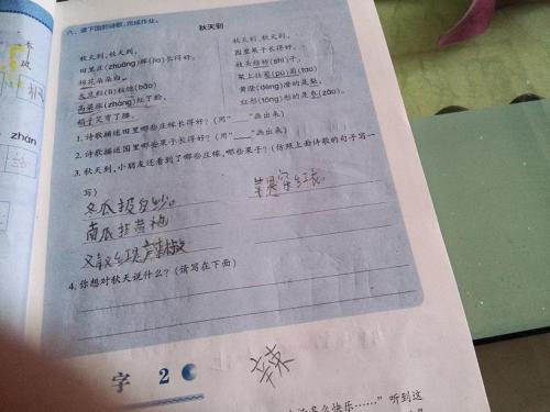 在秋天写拟人化的句子