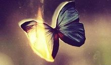 暴雨前的闪电下歇后语