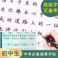 初中生的句子