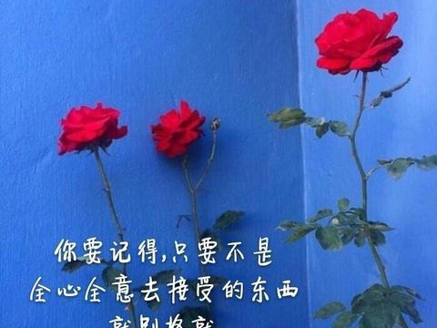2019美丽的句子