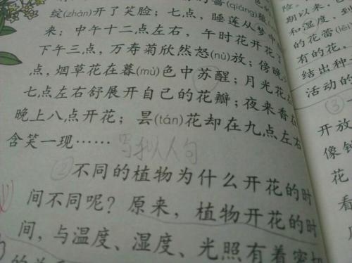 写一些拟人化的句子