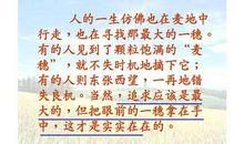 关于对待机遇的谚语