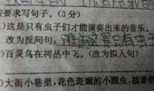 三十个拟人句