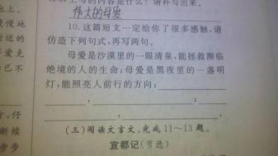 理想的平行句子