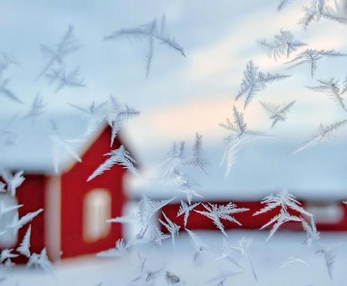 雪的祝福