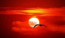 描写黄昏比喻句