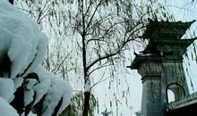 关于冬至的谚语英语版