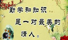 努力学习的谚语