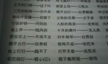 蚊子肚里找肝胆歇后语