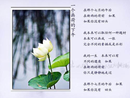习慕容的经典名言