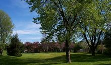 赞美大学校园的句子