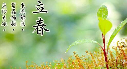 寓言词与植物