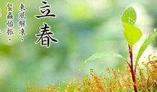 有植物的歇后语