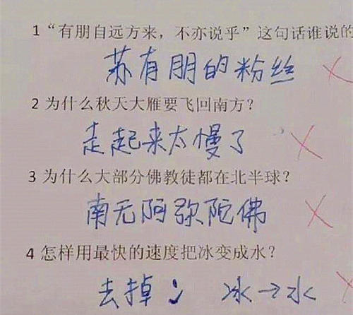 句子摘录