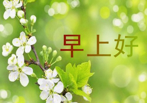 早上短信热烈问候